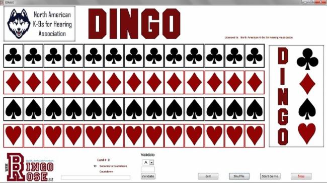 DINGO main screen pre-game